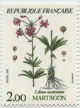 Fleurs de montagne - "Martagon"