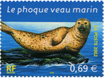 Le phoque veau marin