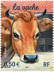 Les animaux de la ferme - La vache