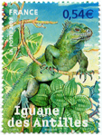 Iguane des Antilles